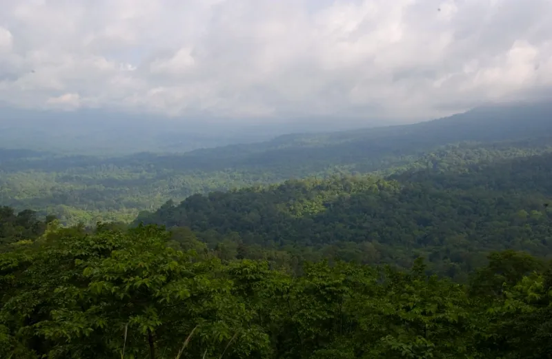 Pang Sida National Park — photo 4