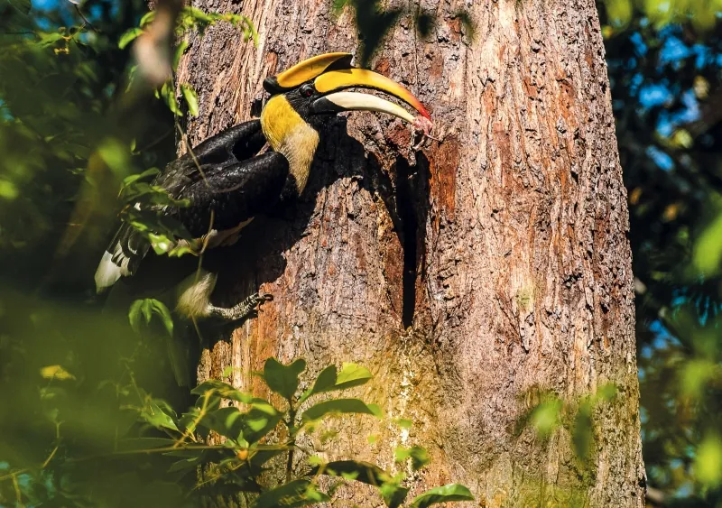 Pang Sida National Park — photo 3