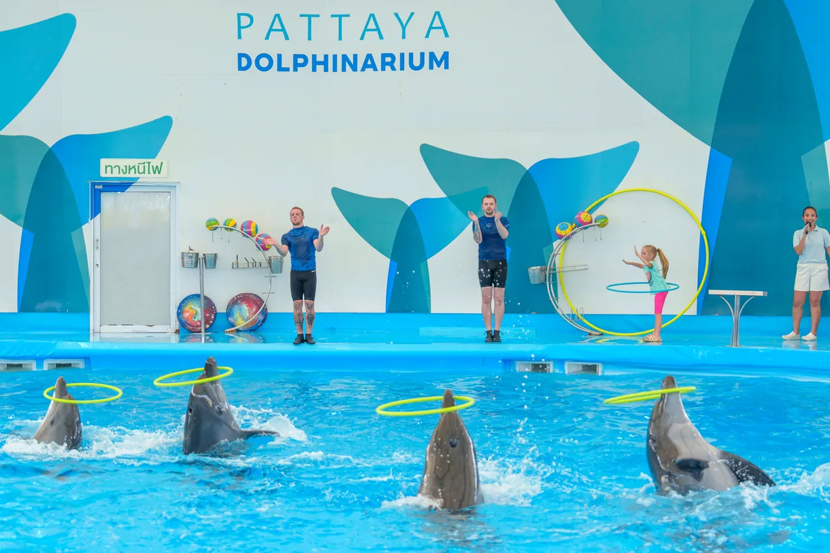 Pattaya Dolphinarium — photo 2