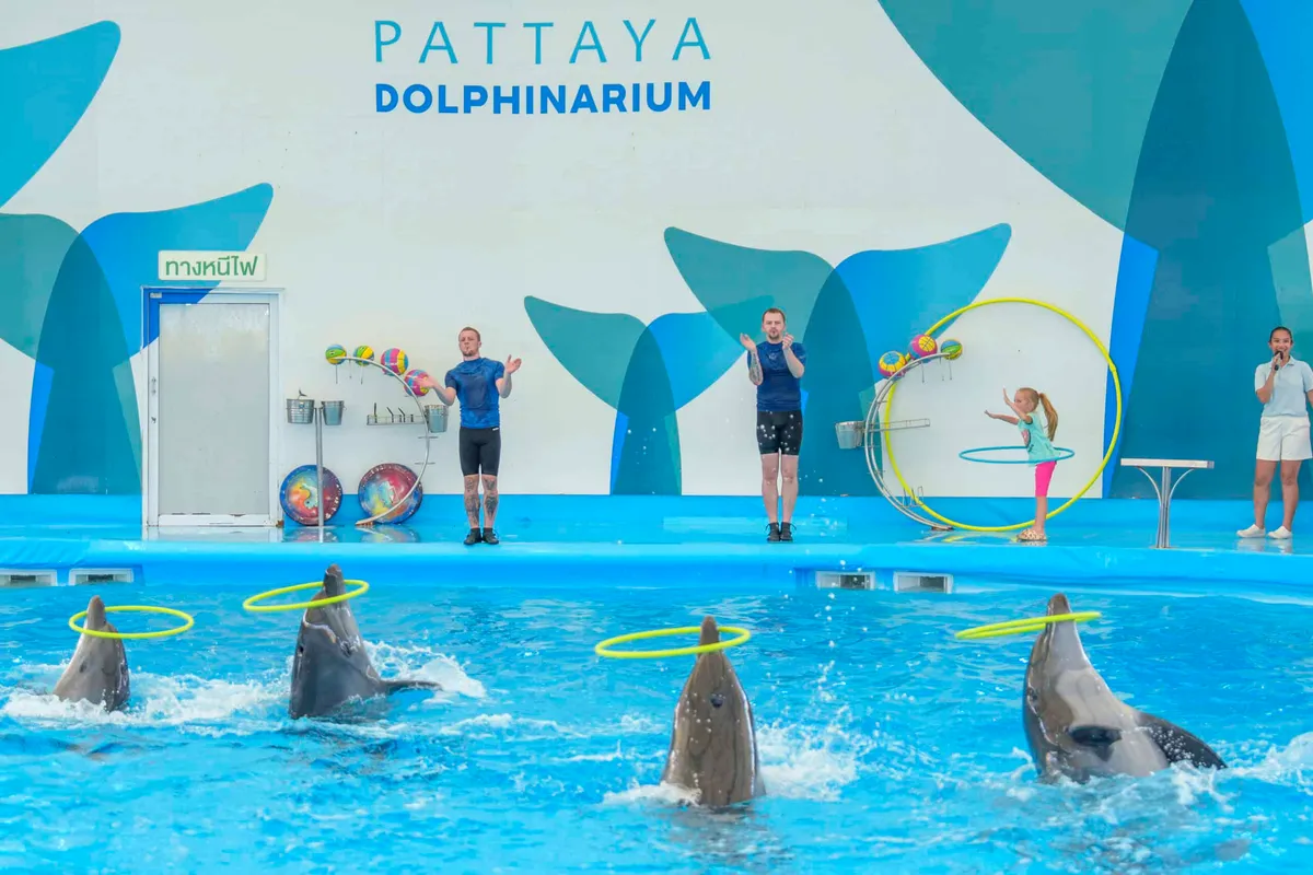 Pattaya Dolphinarium