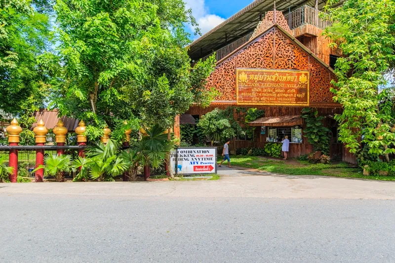Pattaya Elephant Village — photo 2