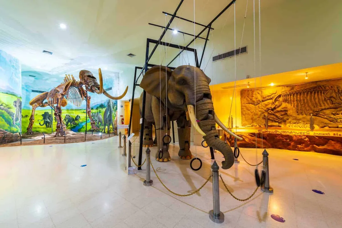 Petrified Wood Museum, Ancient Elephants, and Dinosaurs