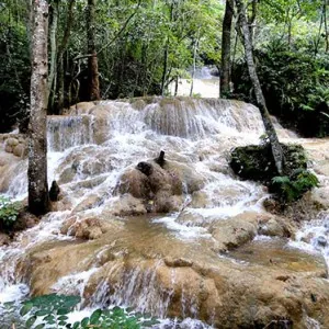 Pha Daeng National Park — photo 3