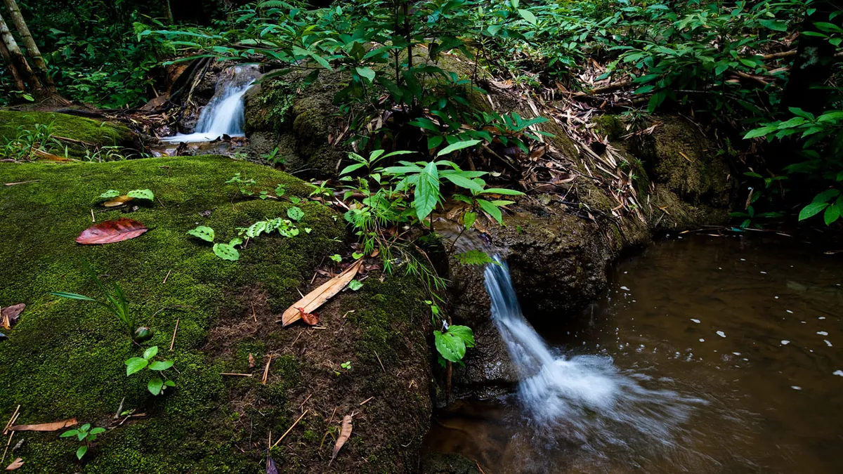 Pha Tad Waterfall — photo 4
