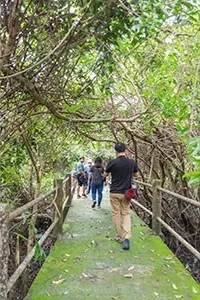 Phattalung Botanical Garden — photo 2