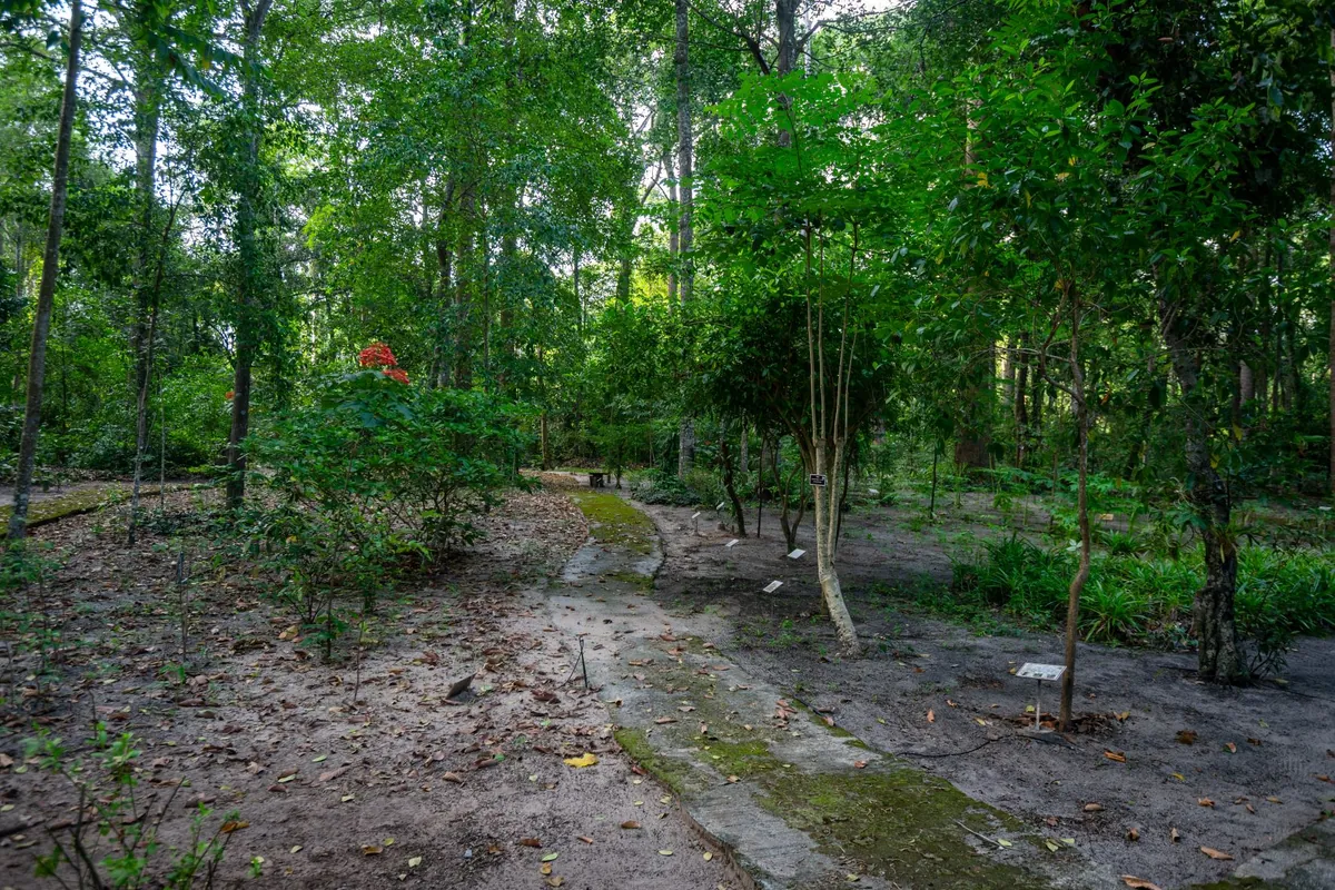 Phe Arboretum — photo 3