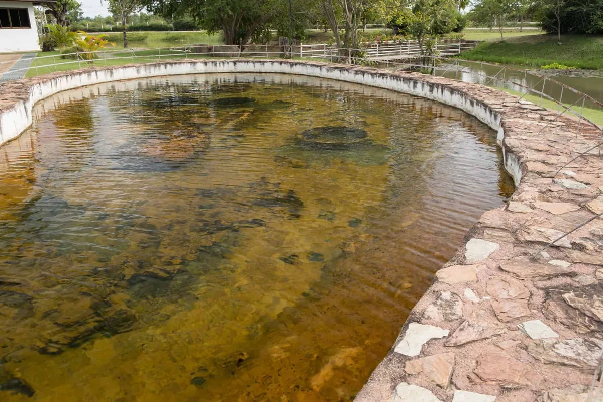 Phra Ruang Hot Spring (Bueng Sap)
