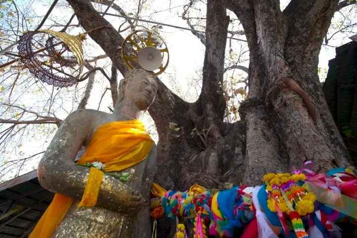 Phra Yuen Mongkhon Buddha Image