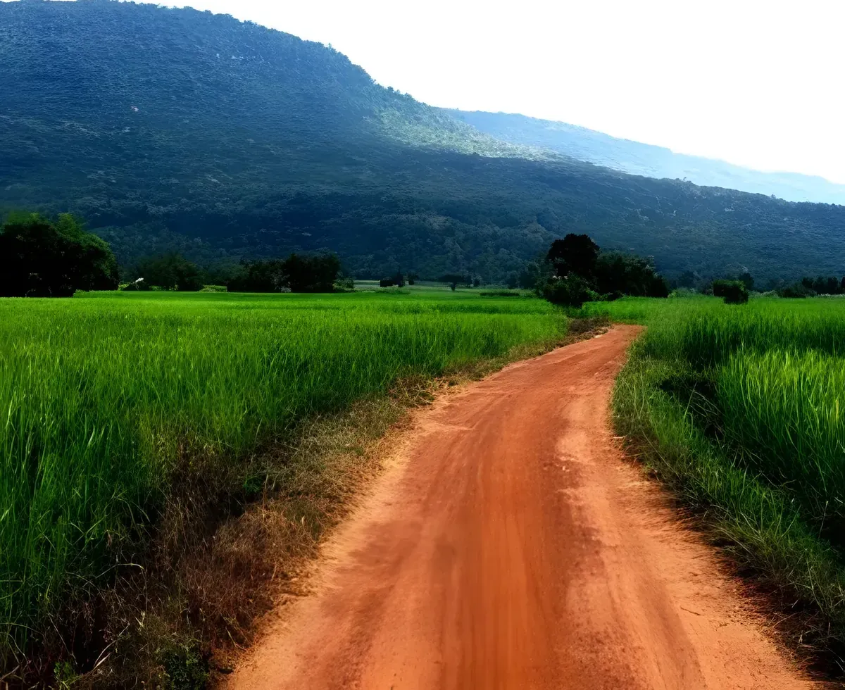 Phu Ang So