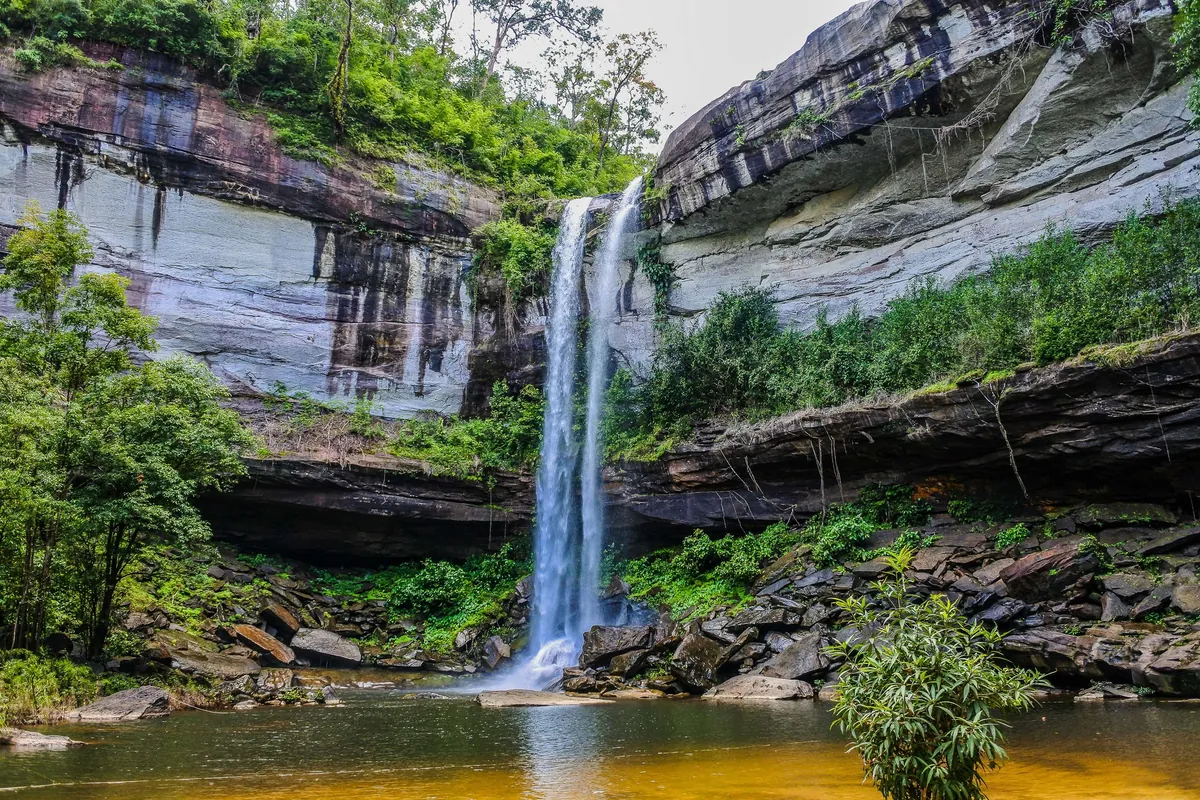Phu Chong Na Yoi National Park