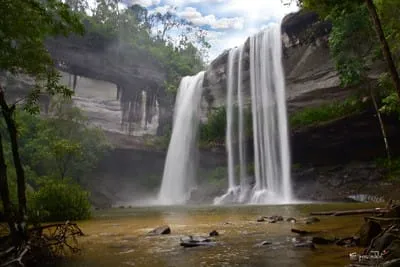 Phu Chong Na Yoi National Park