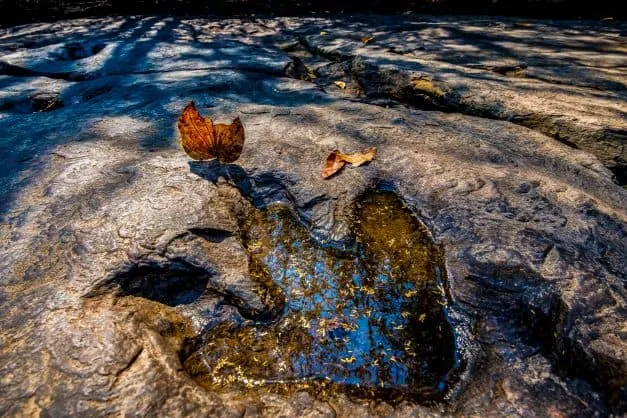 Phu Faek Forest Park (Dinosaur Footprints)
