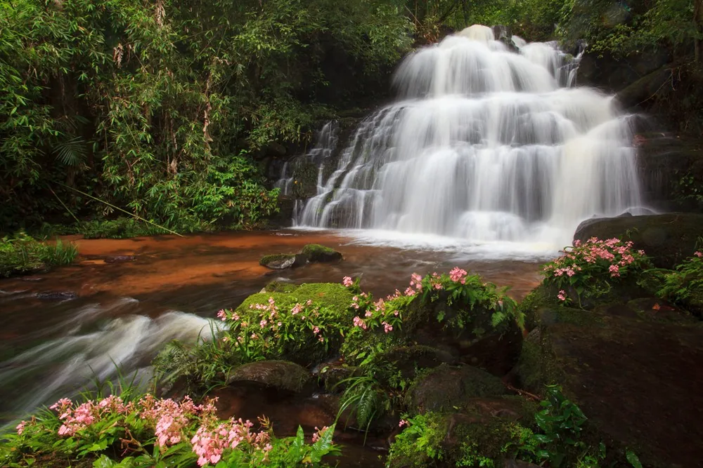 Phu Hin Rong Kla National Park — photo 3