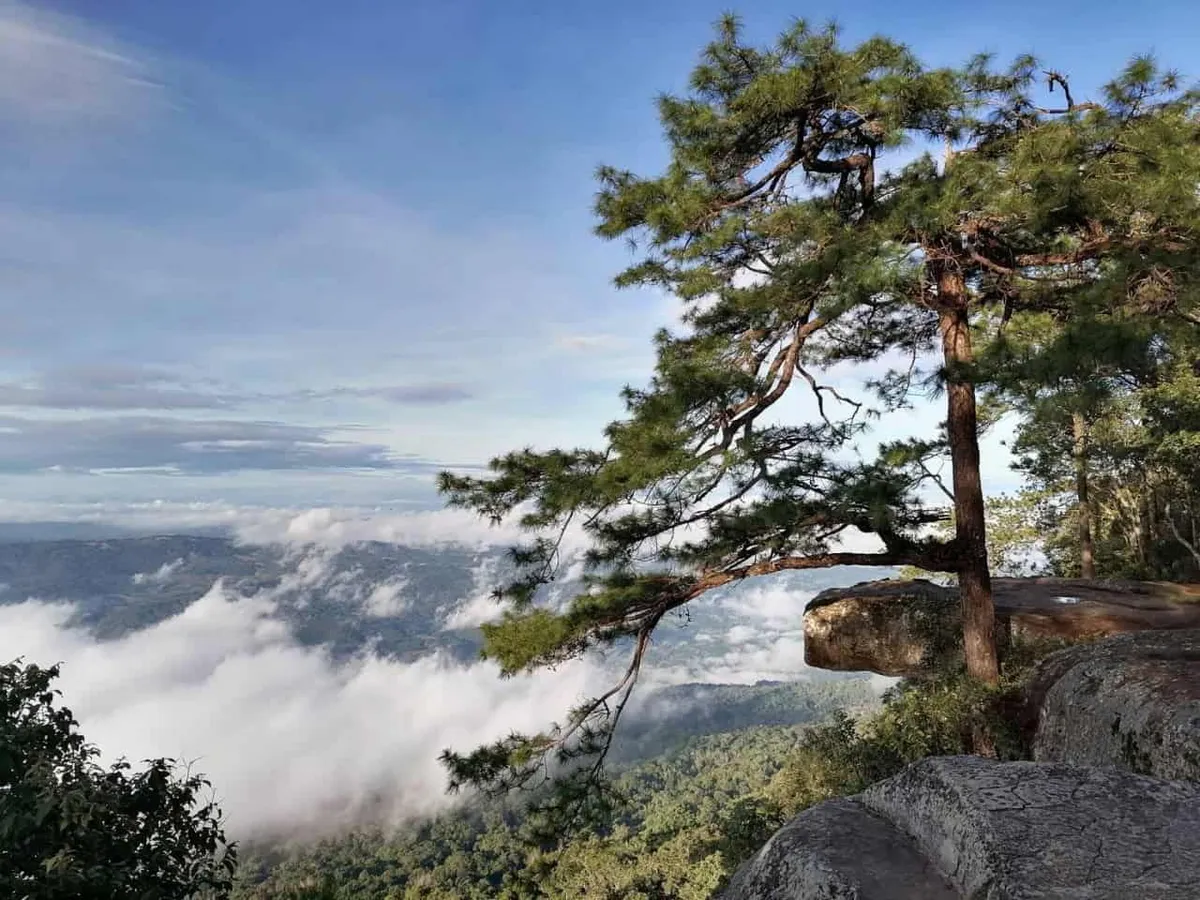 Phu Kradueng National Park