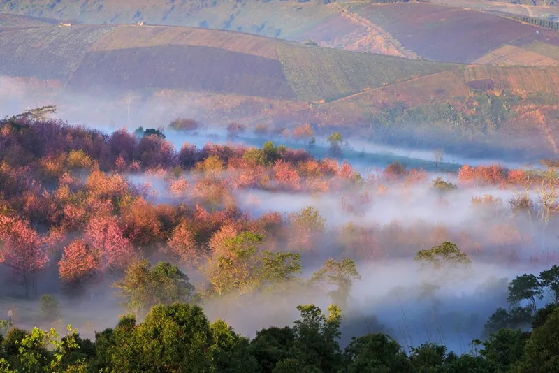 Phu Lom Lo — photo 2