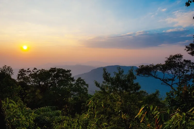 Phu Luang Wildlife Sanctuary — photo 2