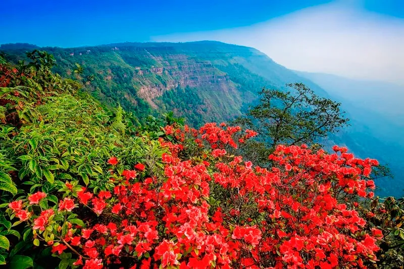 Phu Luang Wildlife Sanctuary