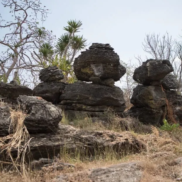 Phu Muang Forest Park