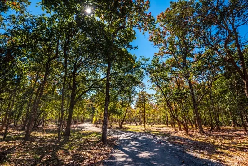 Phu Phan National Park