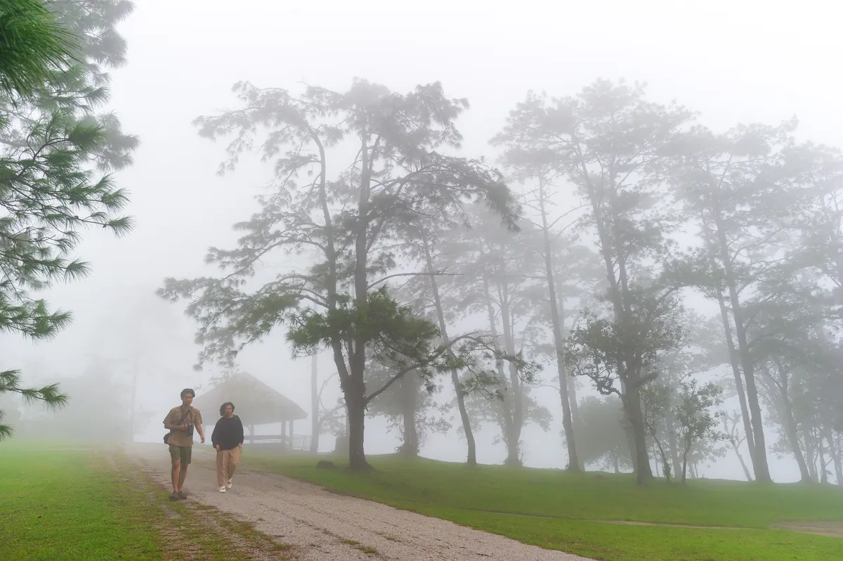 Phu Ruea National Park — photo 3