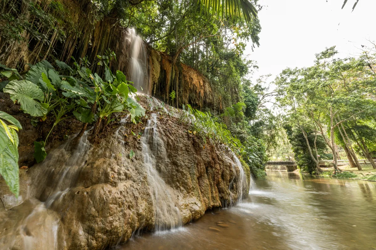 Phu Sang National Park — photo 3