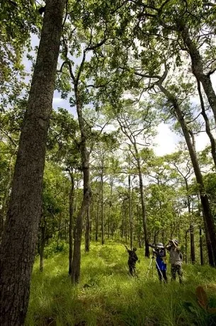 Phu Toei National Park — photo 2