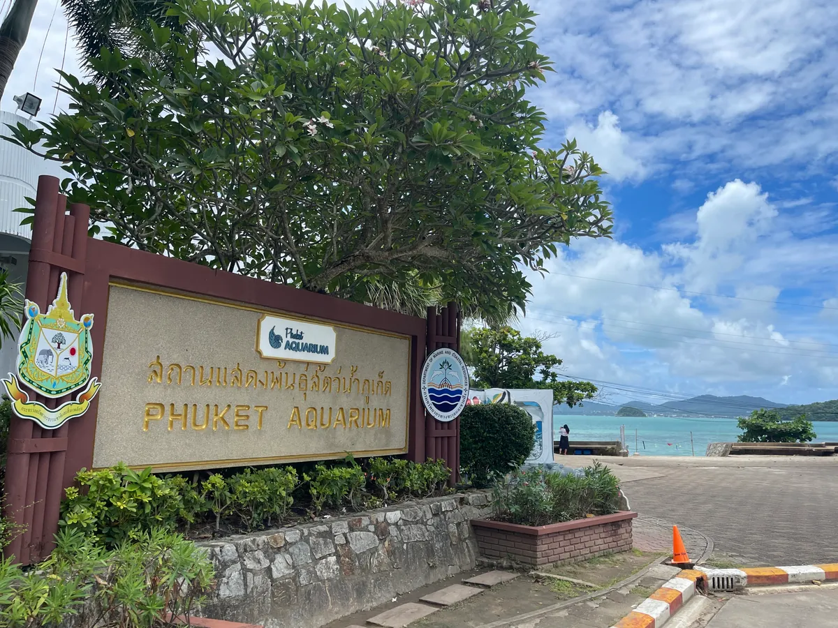 Phuket Aquarium, photo 3