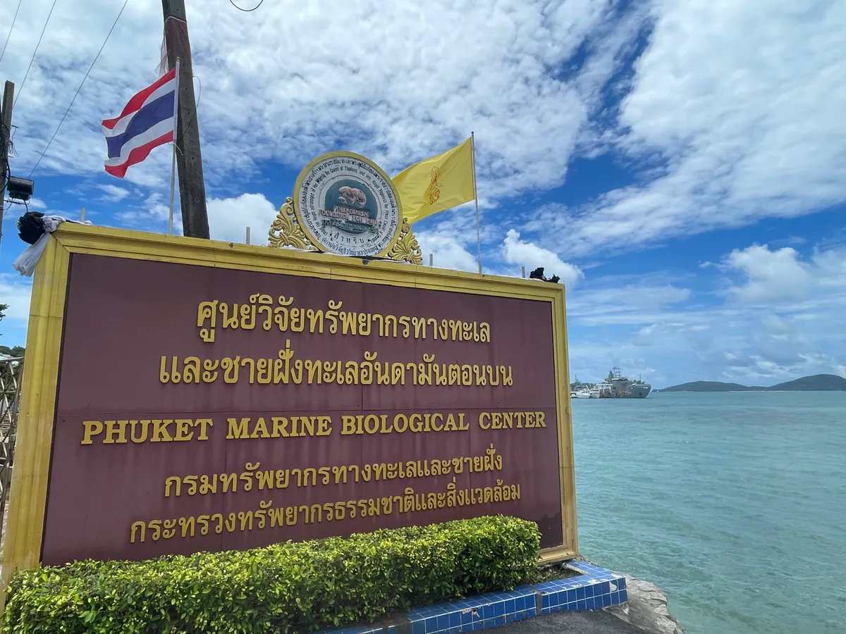 Phuket Aquarium, photo 4