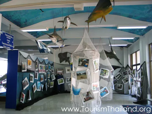 Phuket Aquarium — photo 2