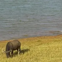 Phuttha Utthayan Reservoir