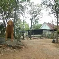 Phutthasathan Phu Sing