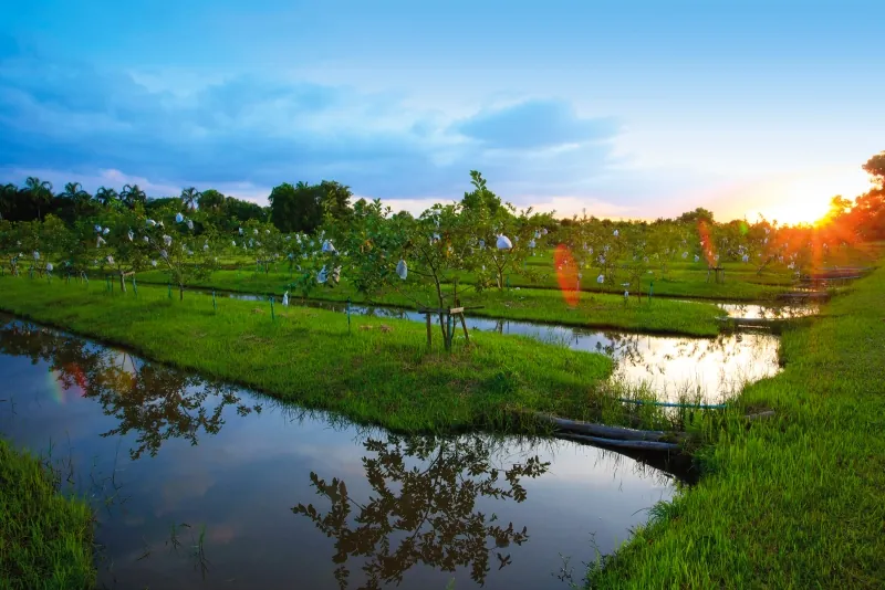 Pikun Thong Royal Development Study Center — photo 3
