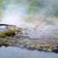 Pong Nam Ron Mueang Paeng