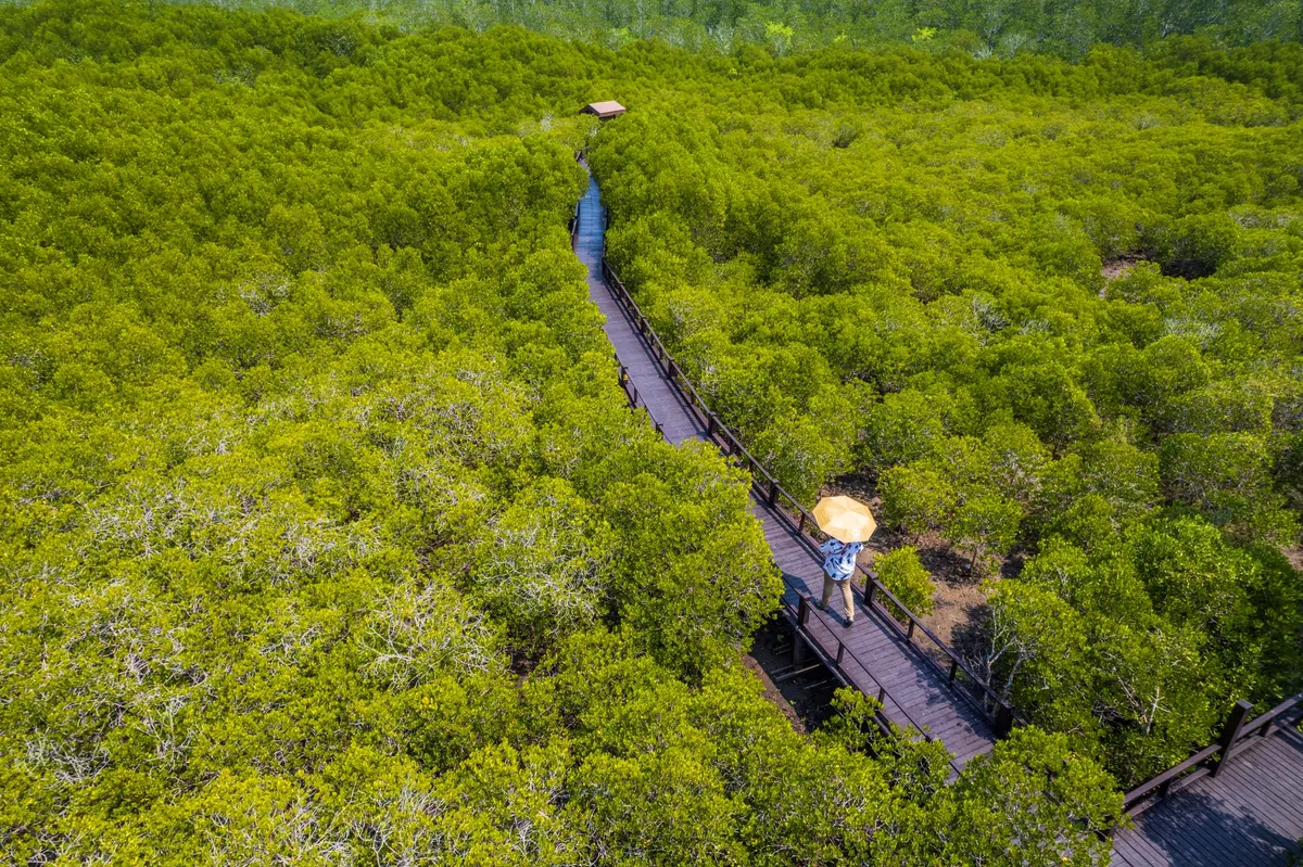 Pran Buri Forest Park — photo 5