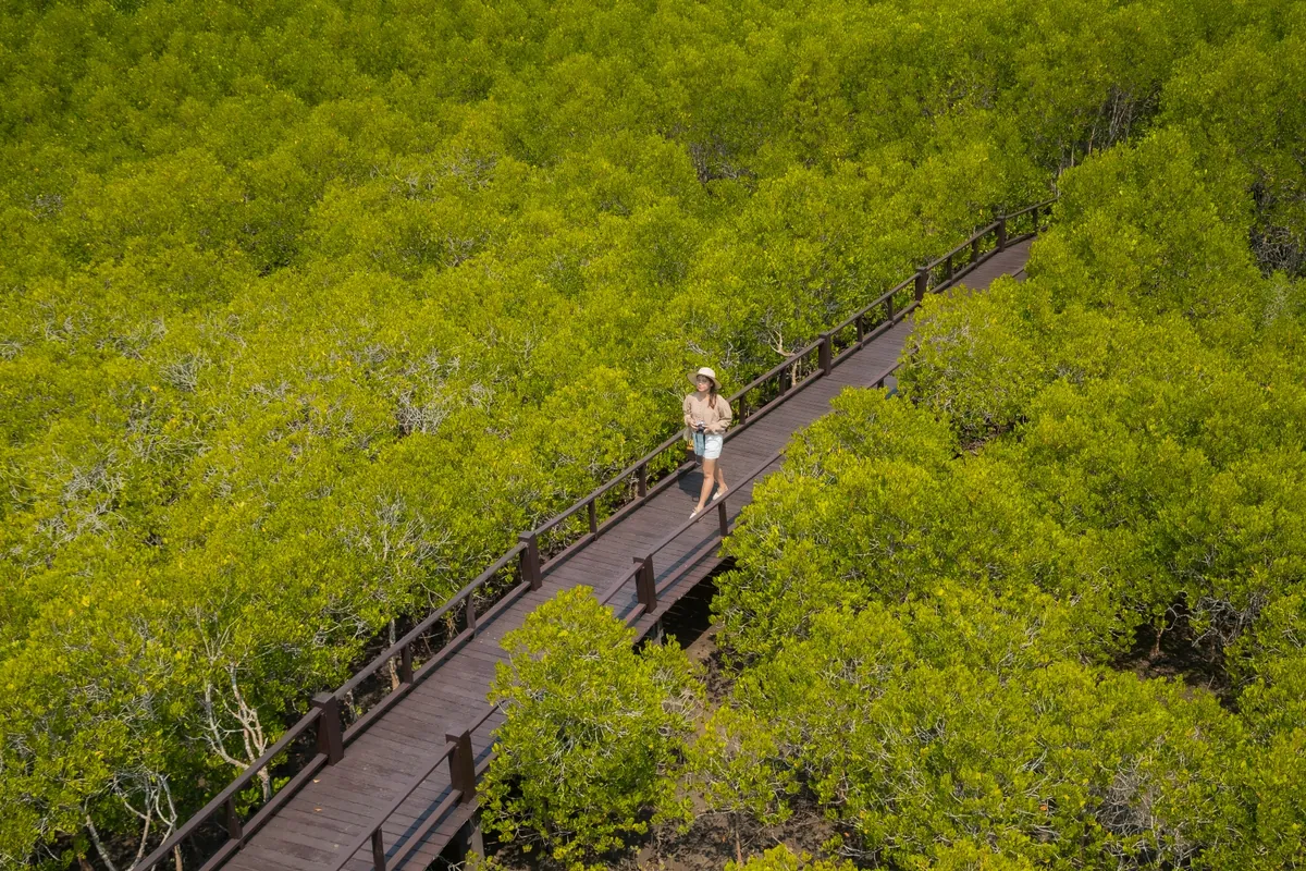 Pran Buri Forest Park — photo 4