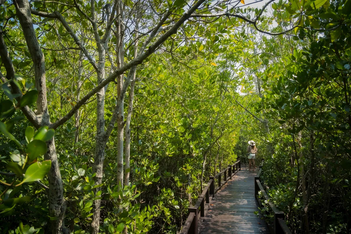 Pran Buri Forest Park — photo 2