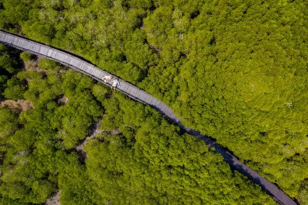 Pran Buri Forest Park