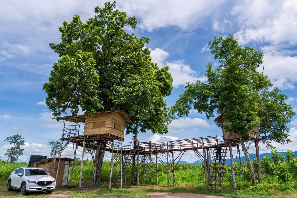 Rabam Wildlife Tourism Community Enterprise — photo 2