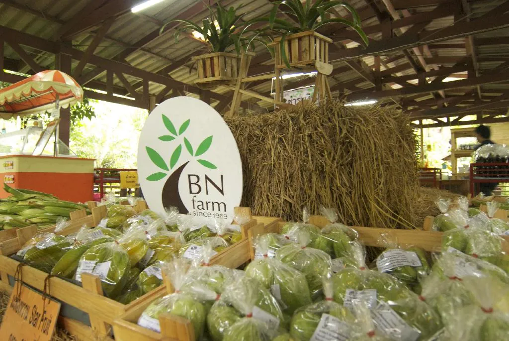 Rai B.N.