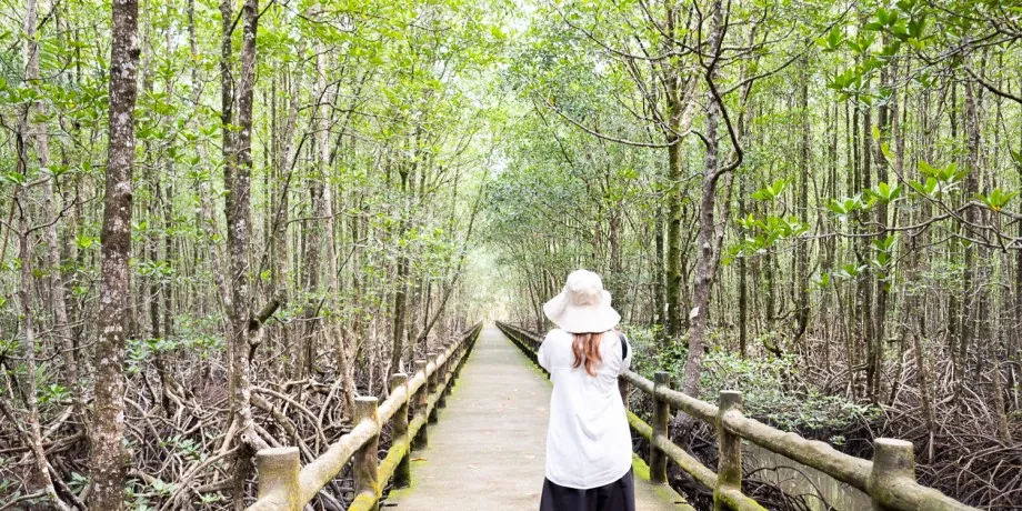 Ngao Mangrove Forest Research Centre