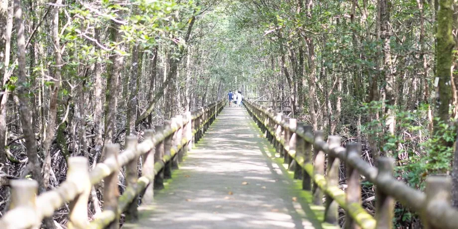 Ngao Mangrove Forest Research Centre — photo 2