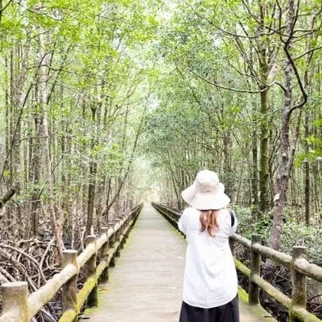 Rainforest of Ngao Research Centre