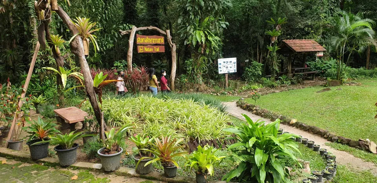 Raksawarin arboretum