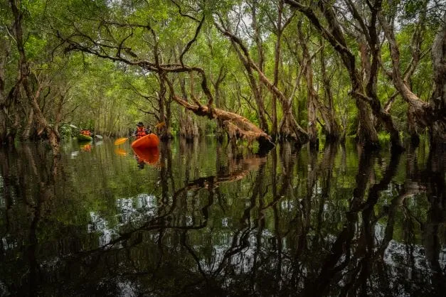 Rayong Botanical Garden