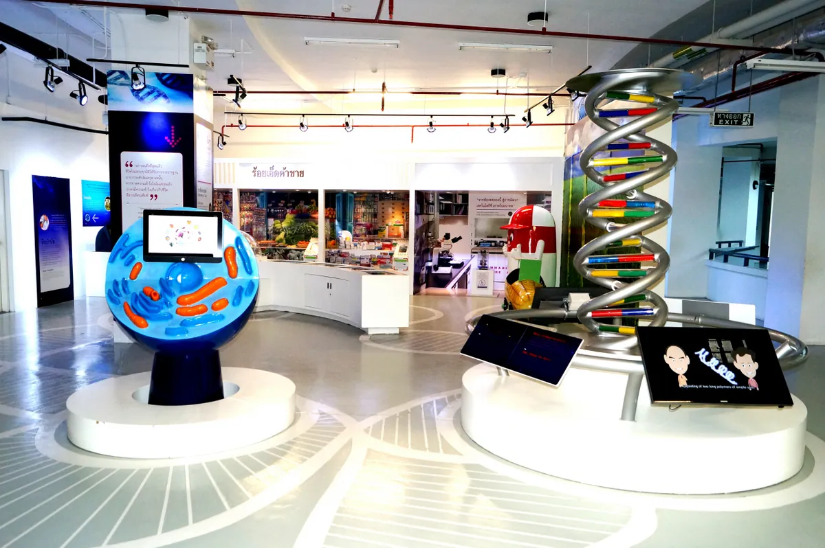 Roi Et Sciences And Cultural For Education Center — photo 4