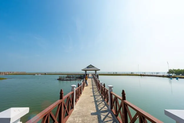 Royal Sea Farming and Aquaculture Demonstration Project Under the Initiatives of Her Majesty Queen Sirikit — photo 2