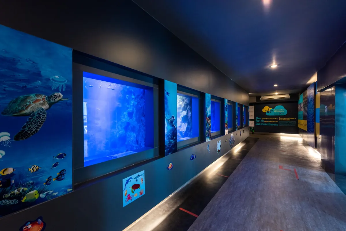 Royal Thai Navy Sea Turtle Conservation Center — photo 2
