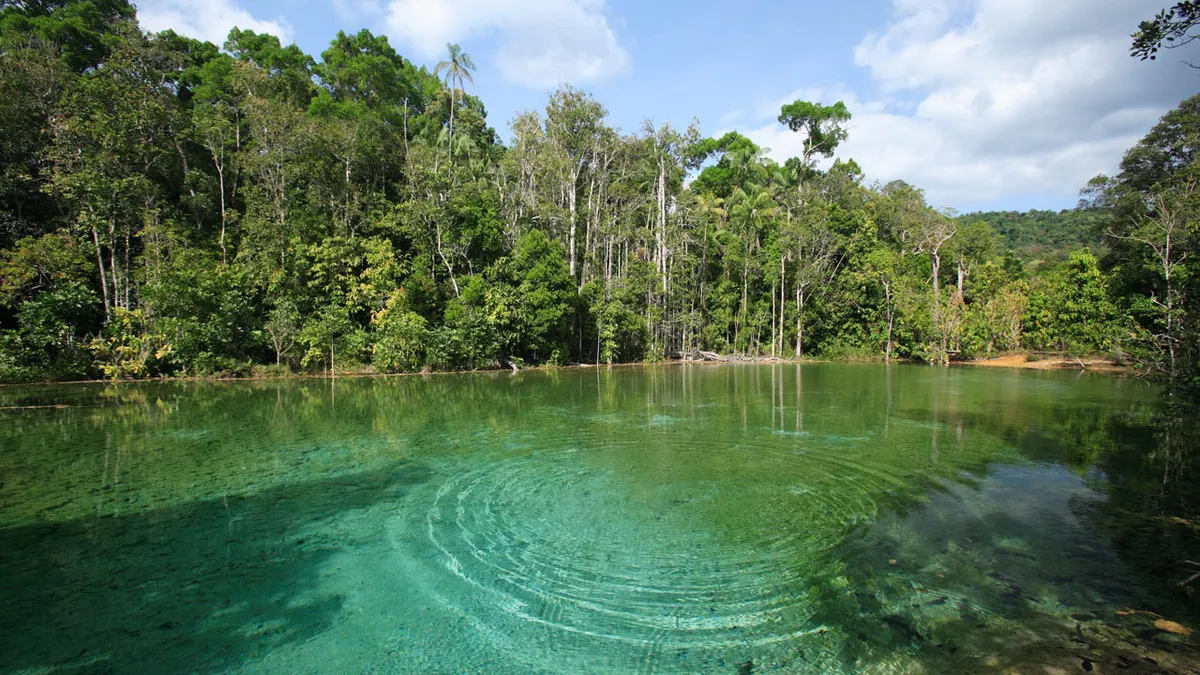 Sa Morakot  (Emerald Pool) — photo 4