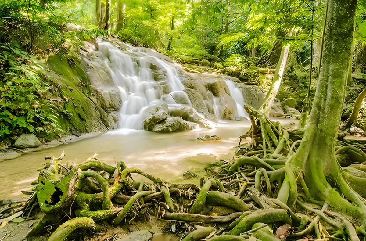 Sa Nang Manora Forest Park