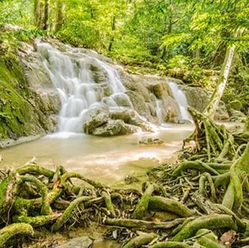 Sa Nang Manora Forest Park